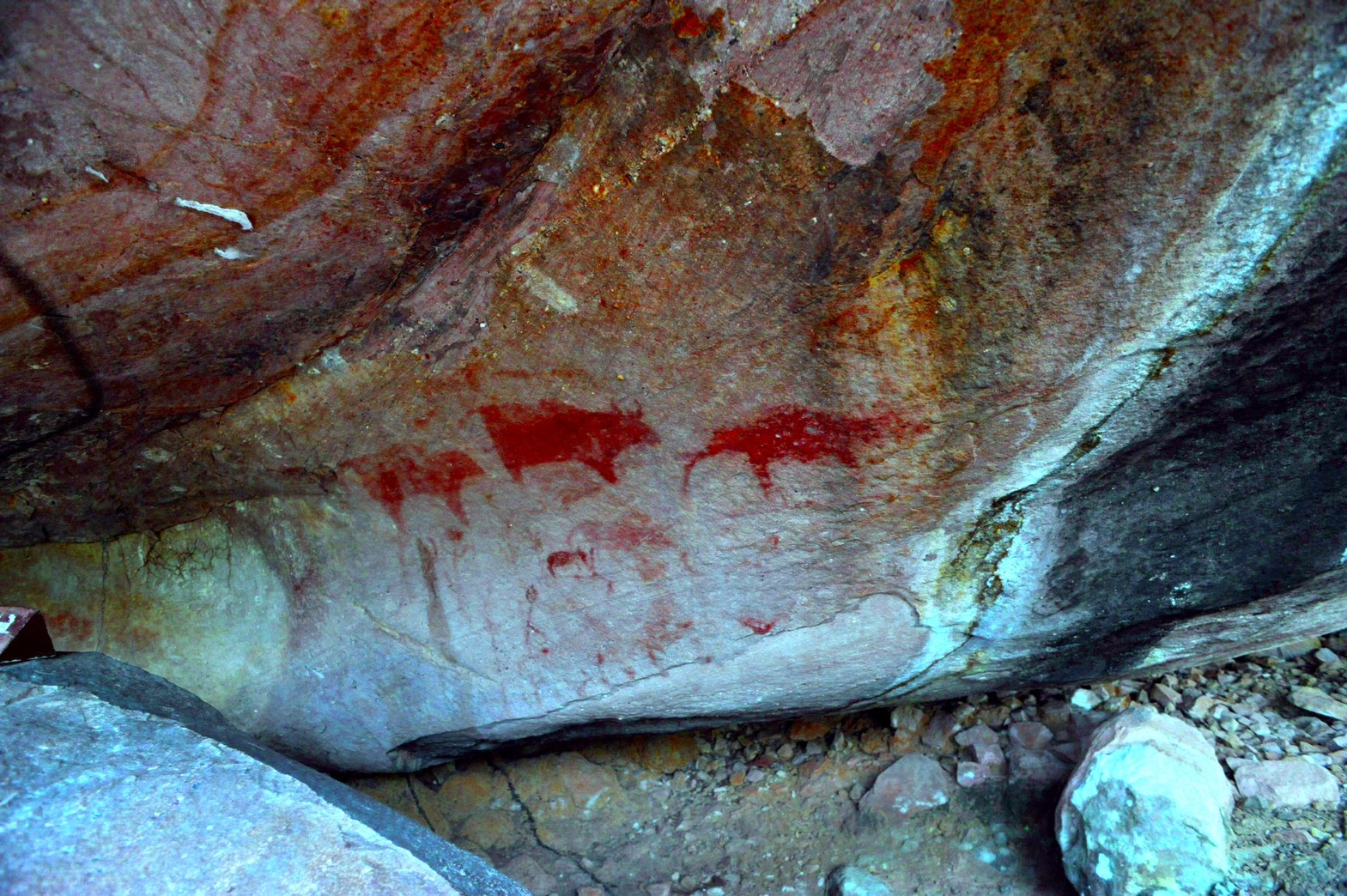 ภาพประกอบ :เป็นงัว