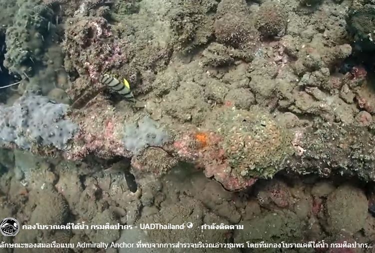 ภาพประกอบ :ลักษณะของสมอเรือแบบ Admiralty Anchor ที่พบจากการสำรวจบริเวณอ่าวชุมพร