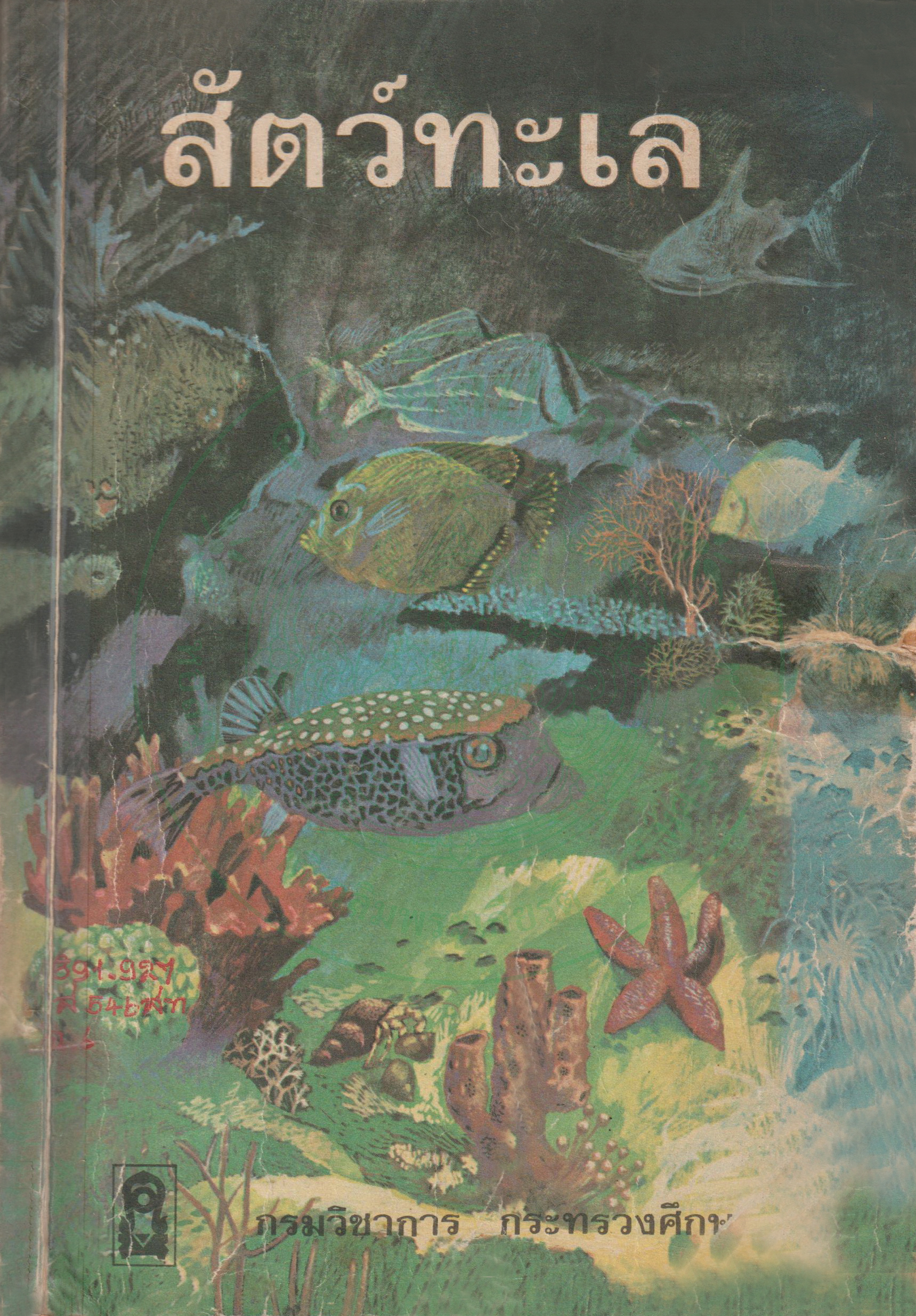 Ebook