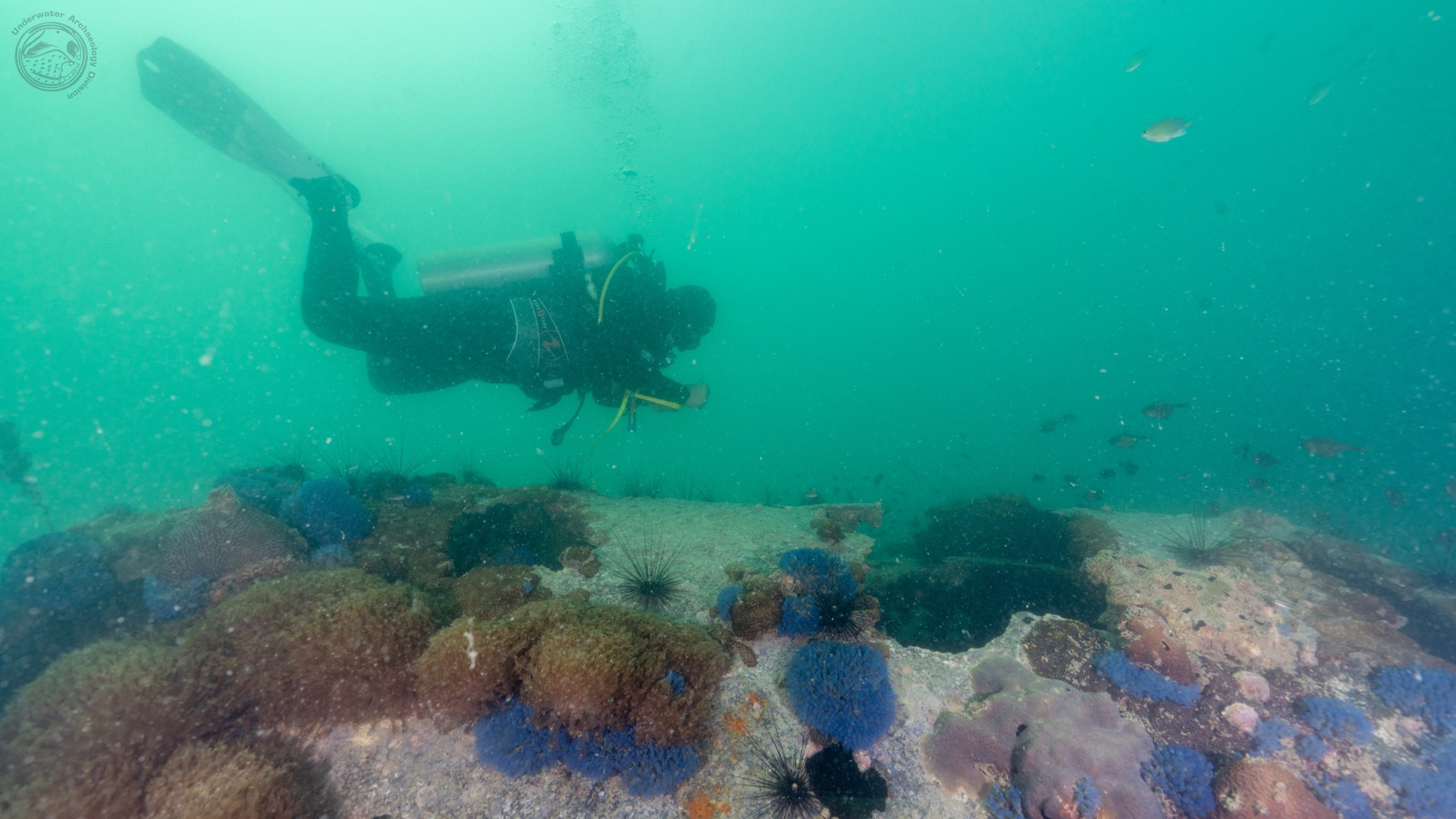 ภาพประกอบ :ภารกิจสำรวจทางโบราณคดีใต้น้ำ ณ บริเวณหินขี้แรด ตำบลแสมสาร อำเภอสัตหีบ จังหวัดชลบุรี