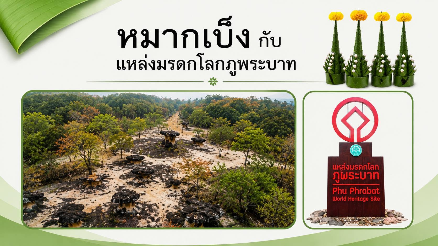 ภาพประกอบ :หมากเบ็ง