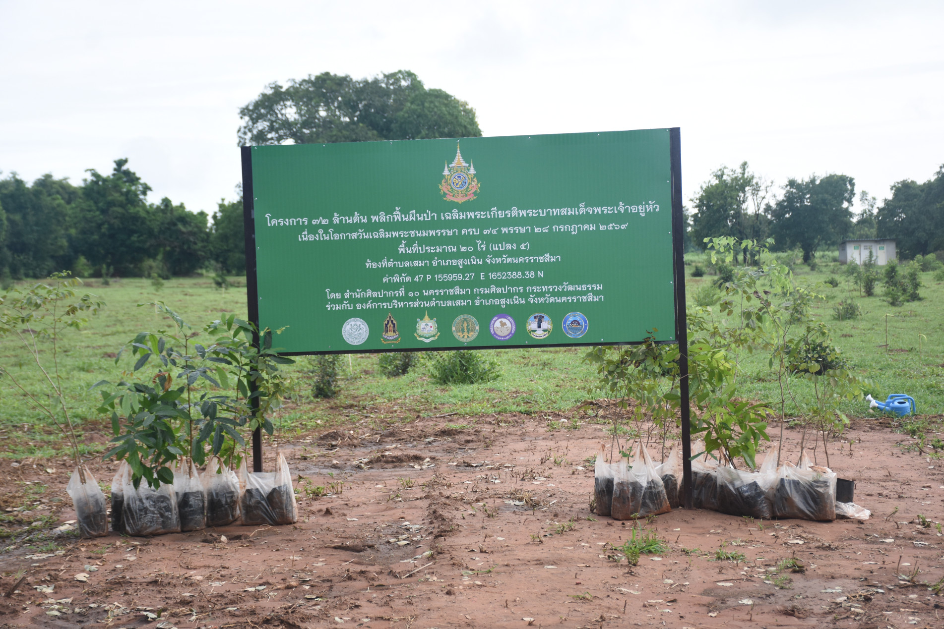 ภาพประกอบ :โครงการจิตอาสาปลูกป่าในพื้นที่มรดกทางวัฒนธรรม ของจังหวัดนครราชสีมา ประเภทแหล่งโบราณคดี เฉลิมพระเกียรติสมเด็จพระนางเจ้าสุทิดา พัชรสุธาพิมลลักษณ พระบรมราชินี เนื่องในโอกาสมหามงคลเฉลิมพระชนมพรรษา ๔ รอบ ๓ มิถุนายน ๒๕๖๙