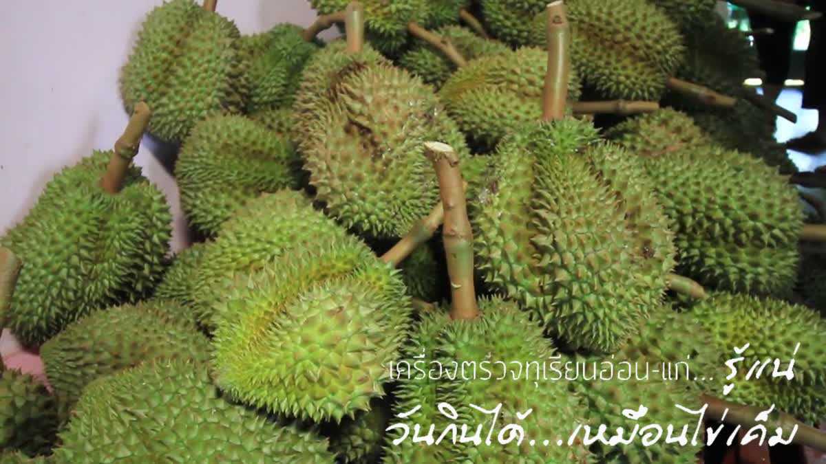 ภาพประกอบ ความรู้ทั่วไป