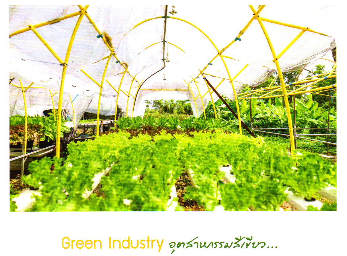 ภาพประกอบ ความรู้ทั่วไป