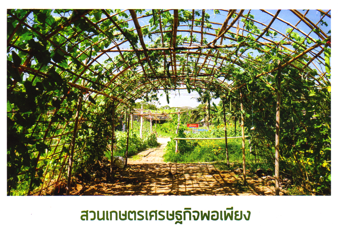 ภาพประกอบ ความรู้ทั่วไป