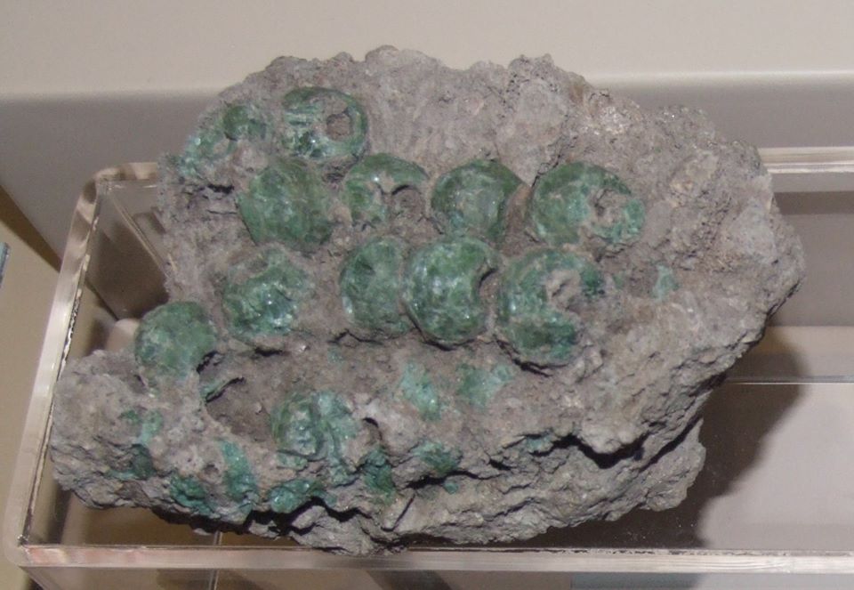 ภาพประกอบ ความรู้ทั่วไป