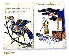 ภาพประกอบ ความรู้ทั่วไป