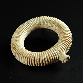 ภาพประกอบ ความรู้ทั่วไป