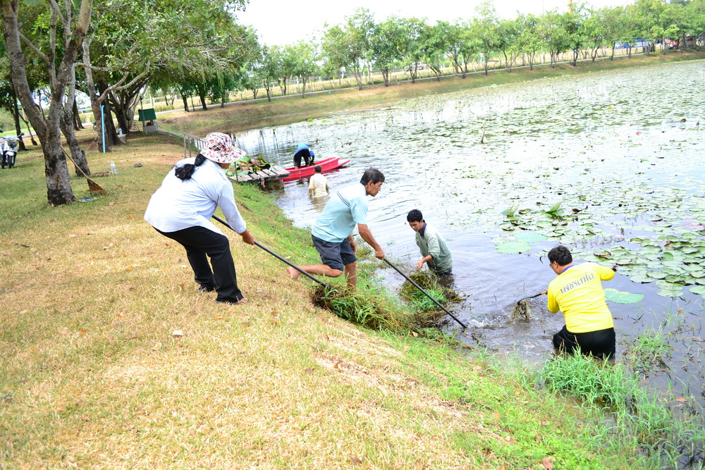 ภาพประกอบ ข่าวประชาสัมพันธ์