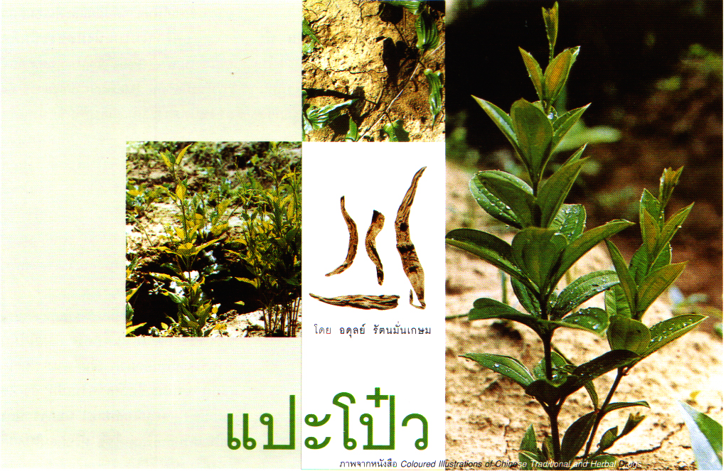 ภาพประกอบ ความรู้ทั่วไป