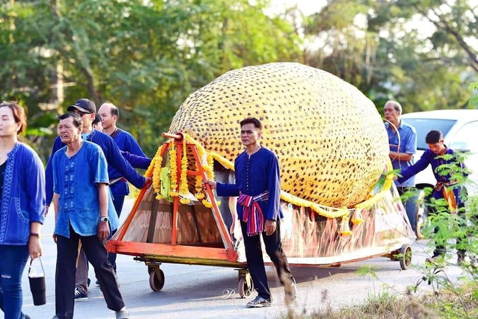 ภาพประกอบ ความรู้ทั่วไป