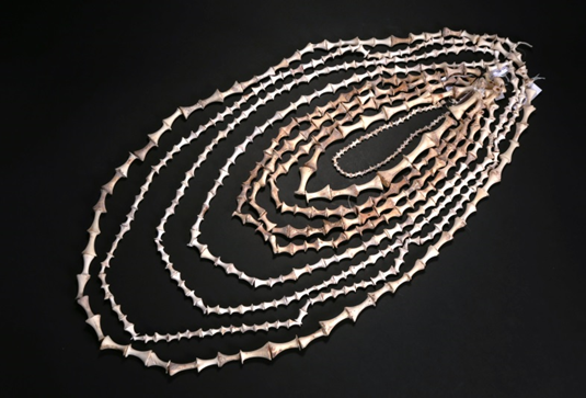 ภาพประกอบ ความรู้ทั่วไป