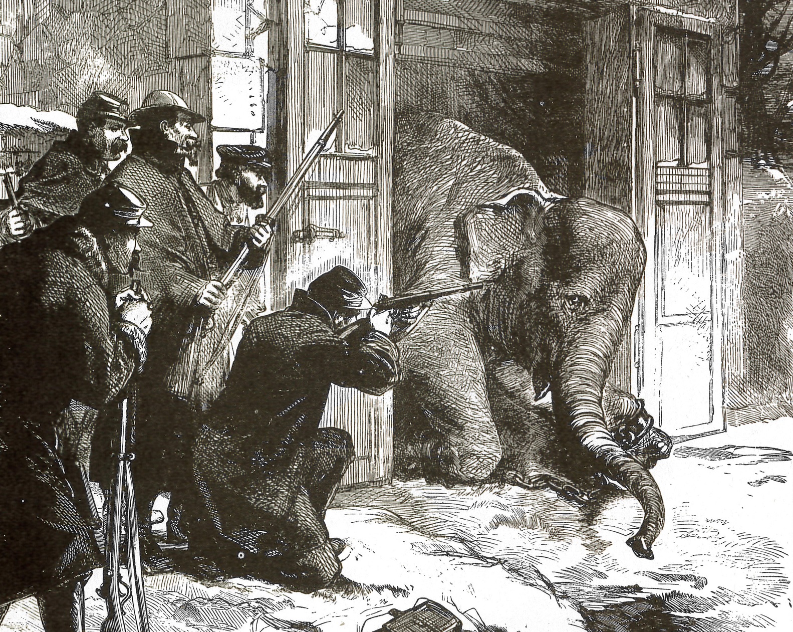 ภาพประกอบ ความรู้ทั่วไป