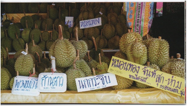 ภาพประกอบ ความรู้ทั่วไป