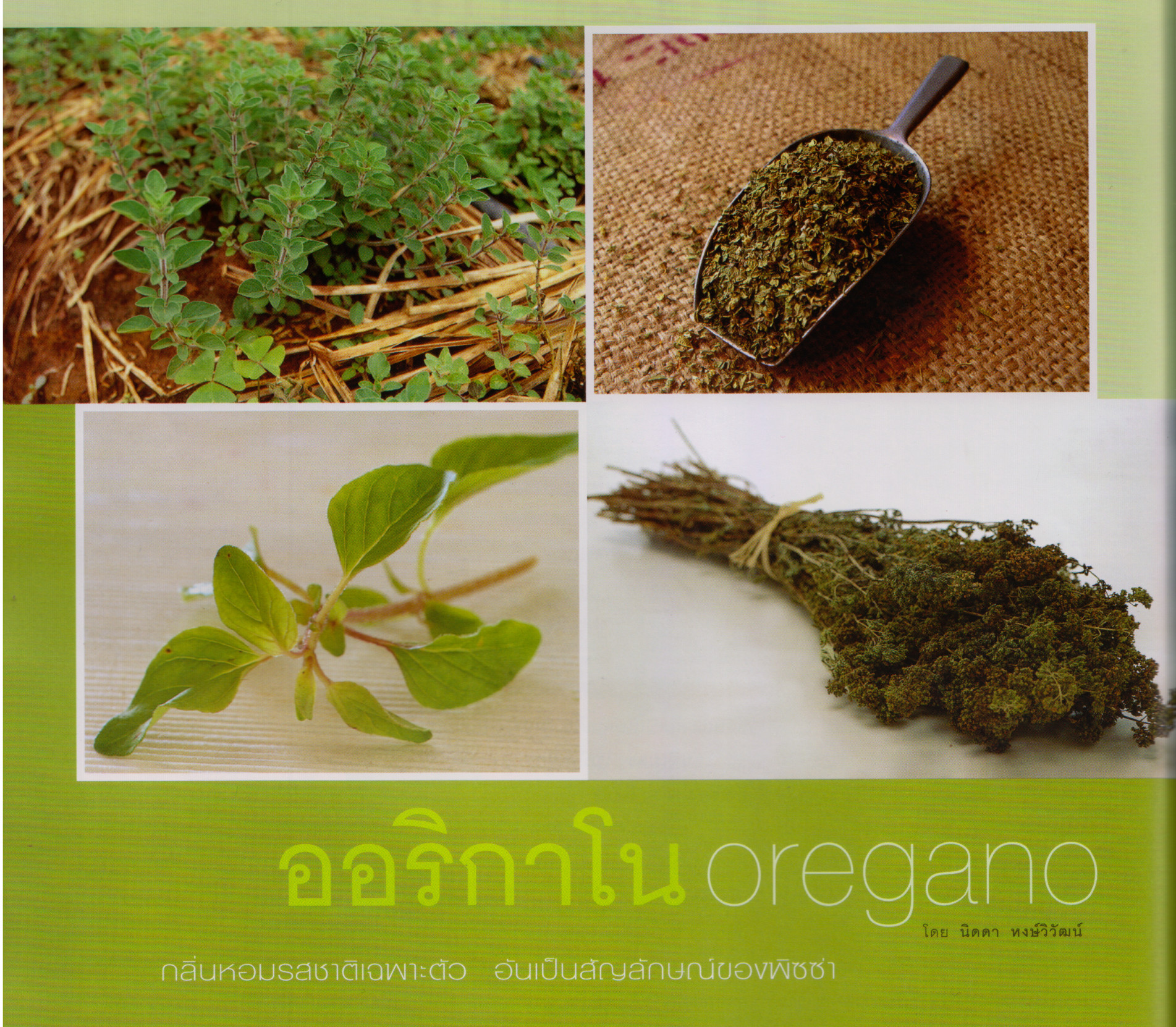 ภาพประกอบ ความรู้ทั่วไป