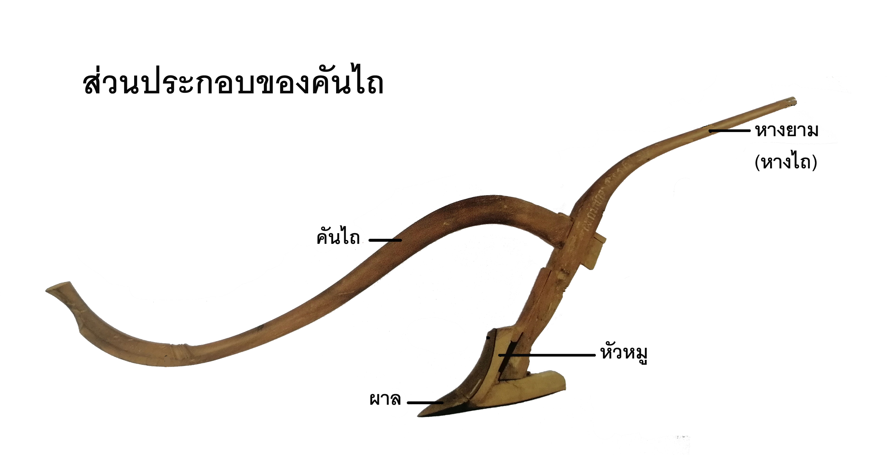 กลุ่มเผยแพร่และประชาสัมพันธ์